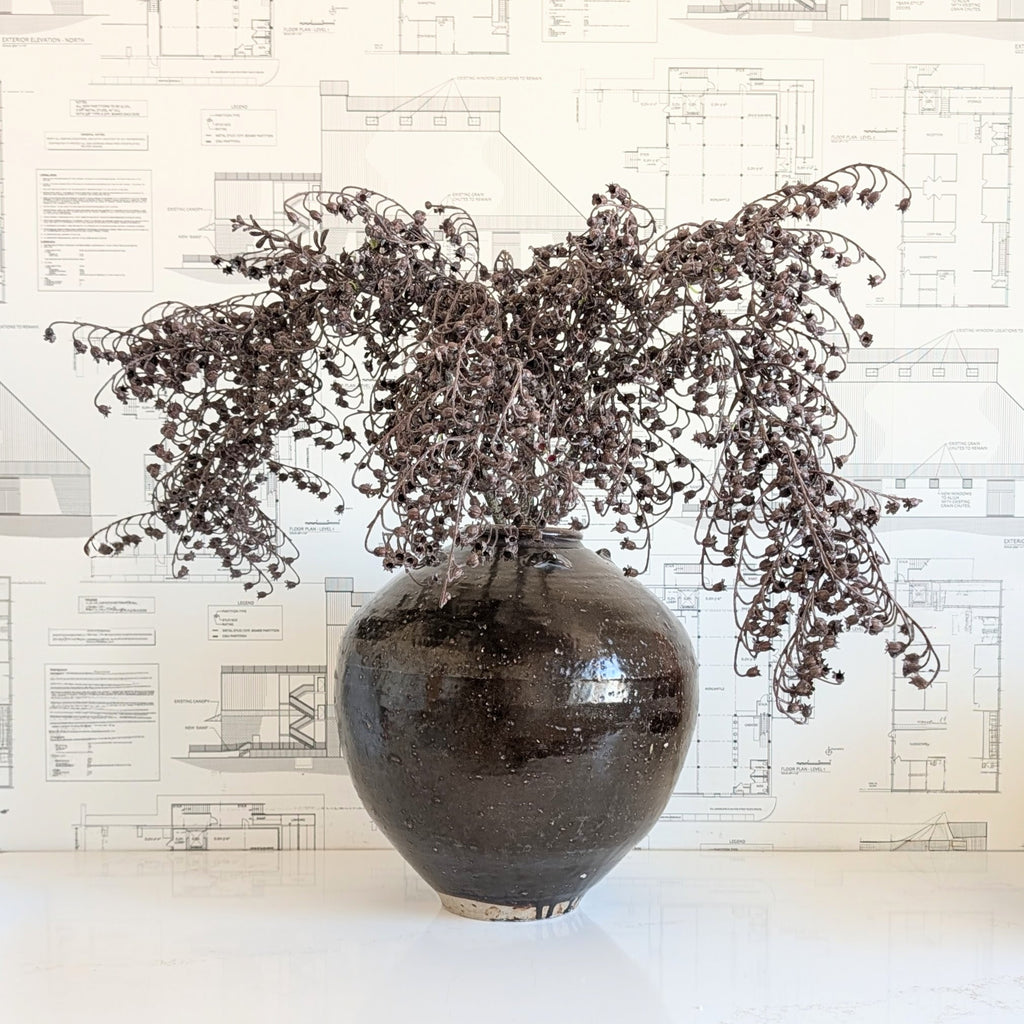 Dripping Dried Berry Sprig