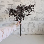 Dripping Dried Berry Sprig