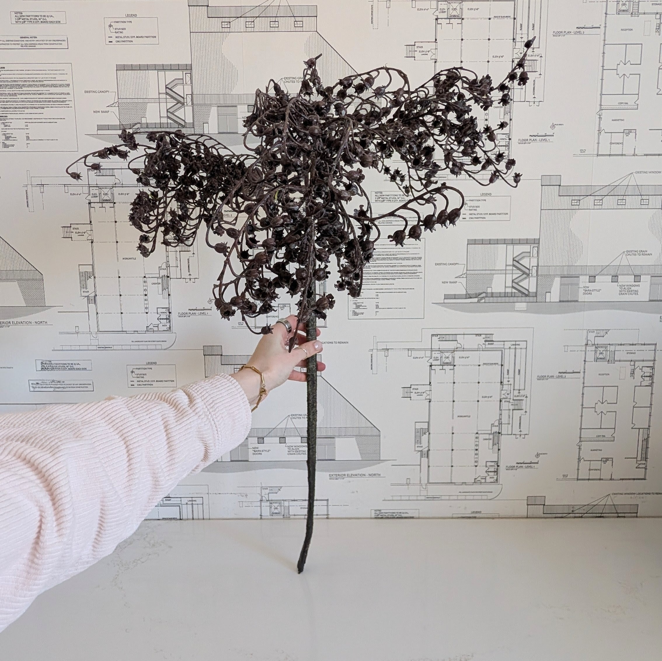 Dripping Dried Berry Sprig