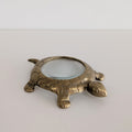*Found* Turtle Loupe