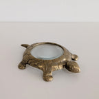 *Found* Turtle Loupe