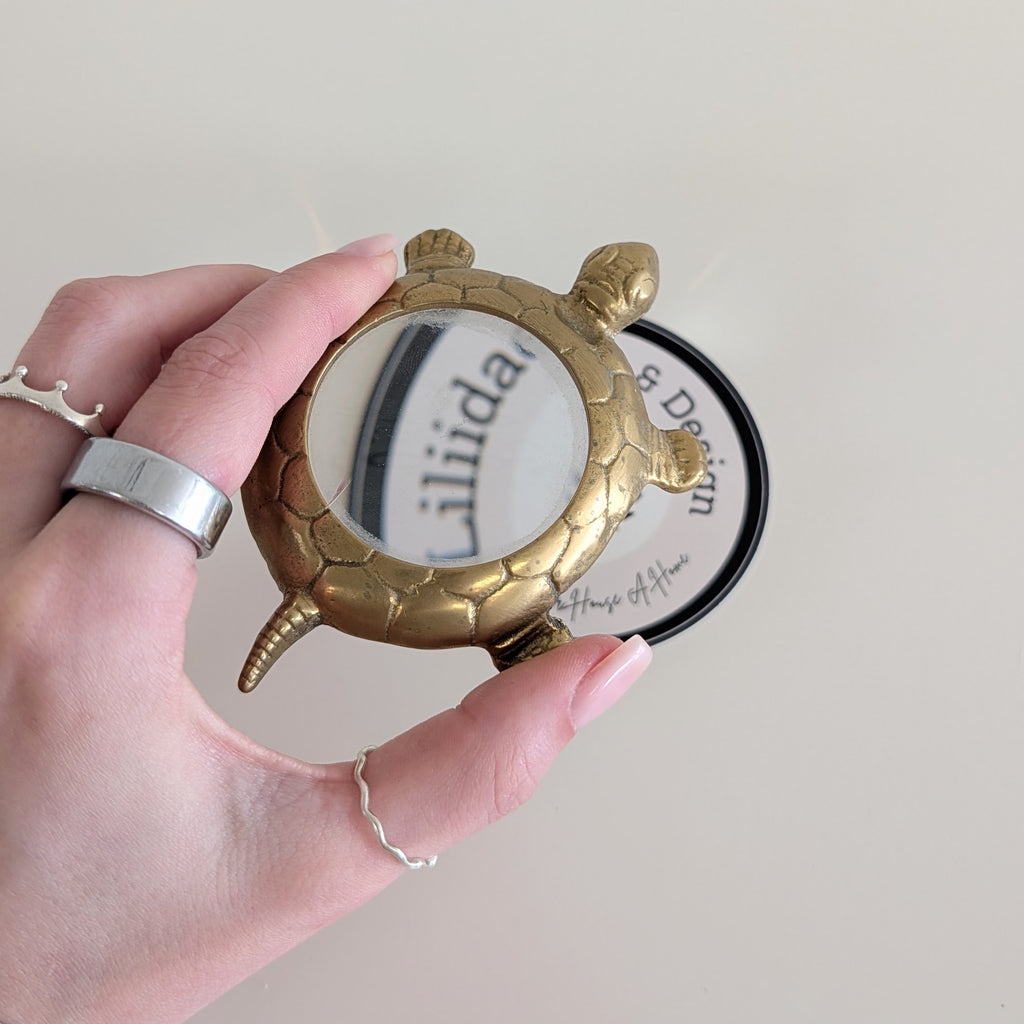 *Found* Turtle Loupe