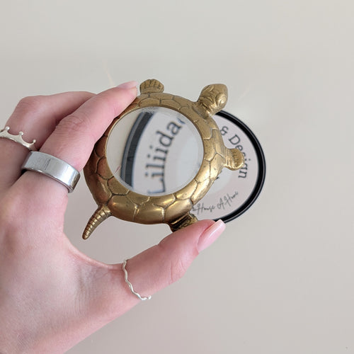 *Found* Turtle Loupe