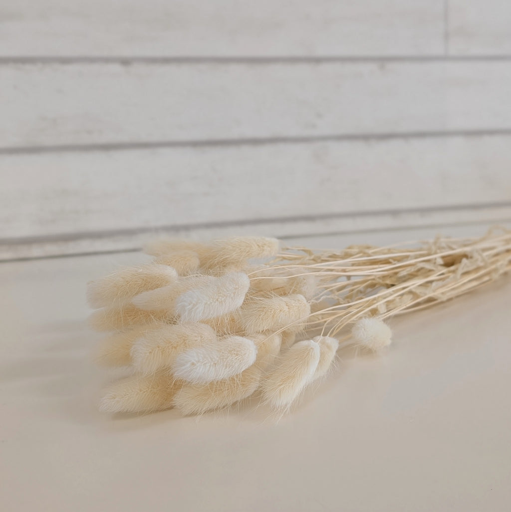 Bunny Tail Bundle