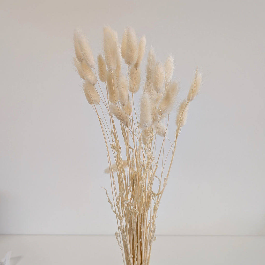 Bunny Tail Bundle