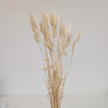 Bunny Tail Bundle