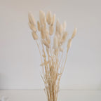 Bunny Tail Bundle