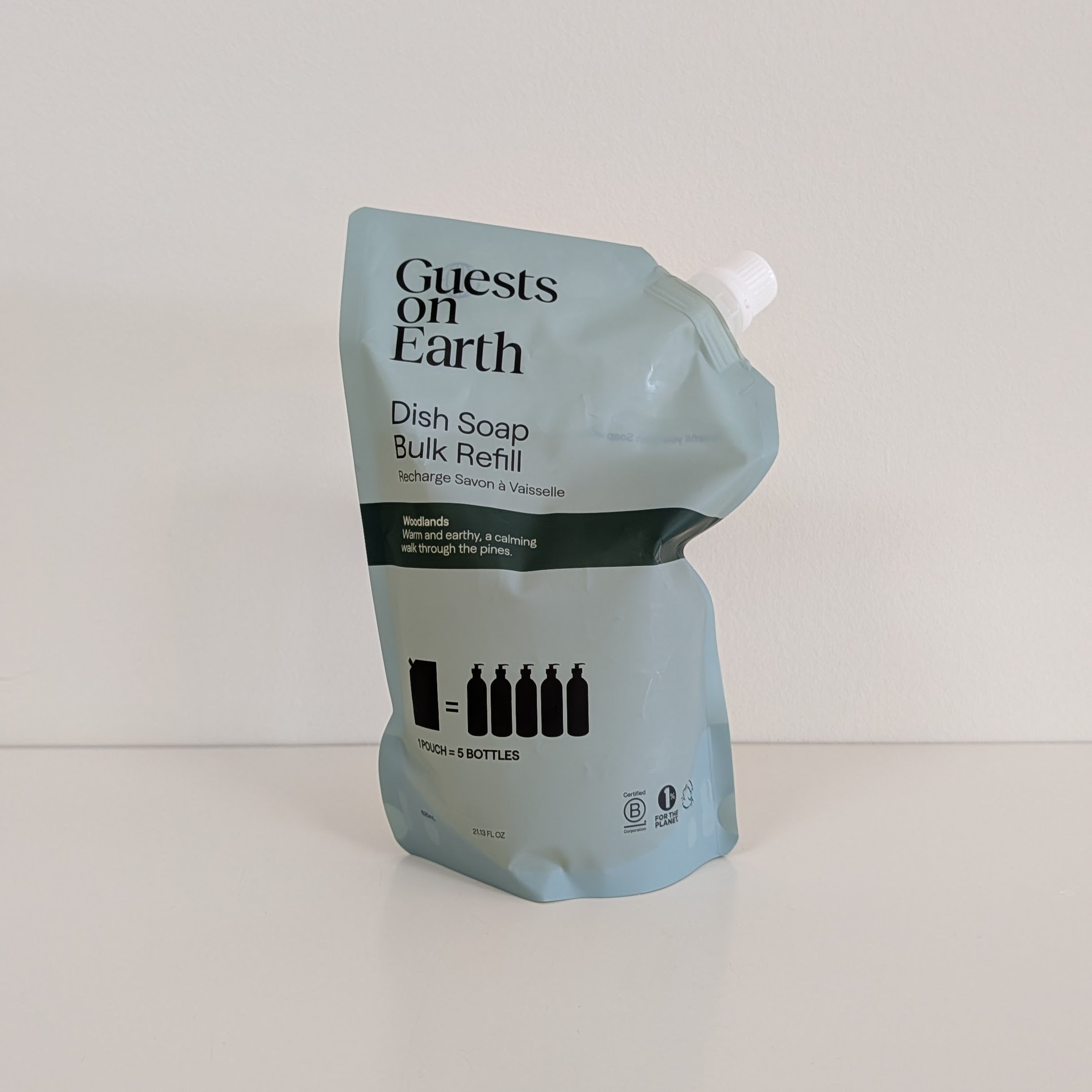 Guests On Earth Cleaners