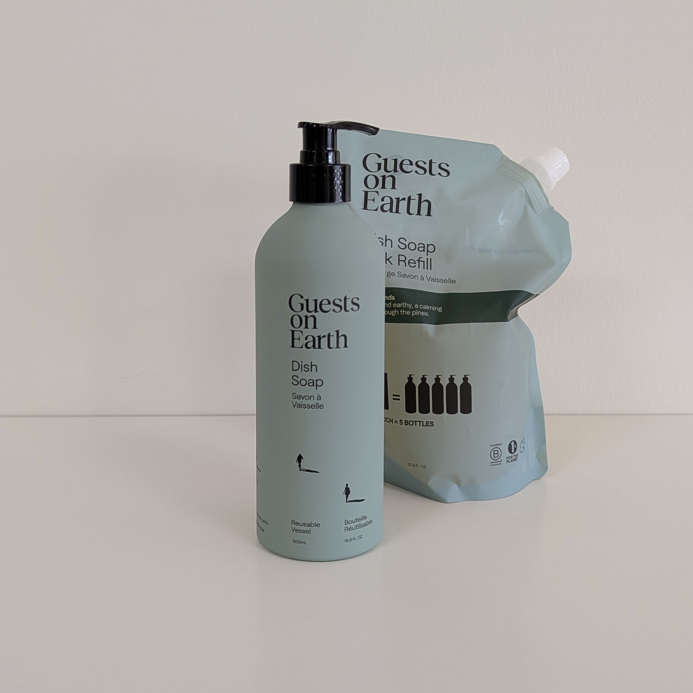 Guests On Earth Cleaners