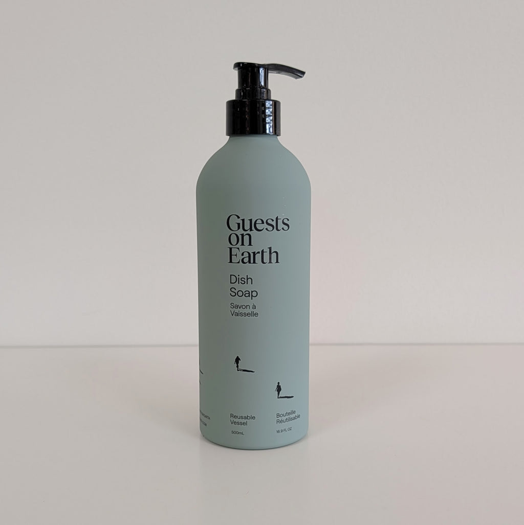 Guests On Earth Cleaners