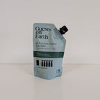 Guests On Earth Cleaners