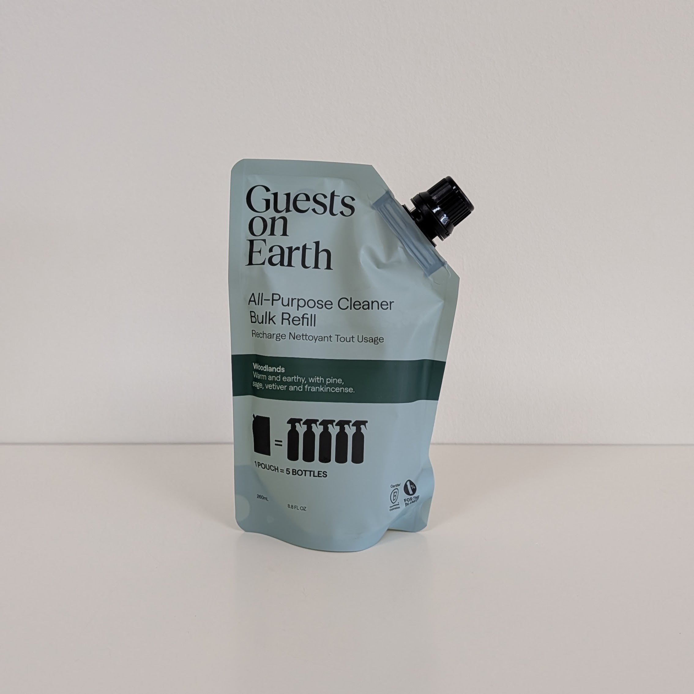 Guests On Earth Cleaners