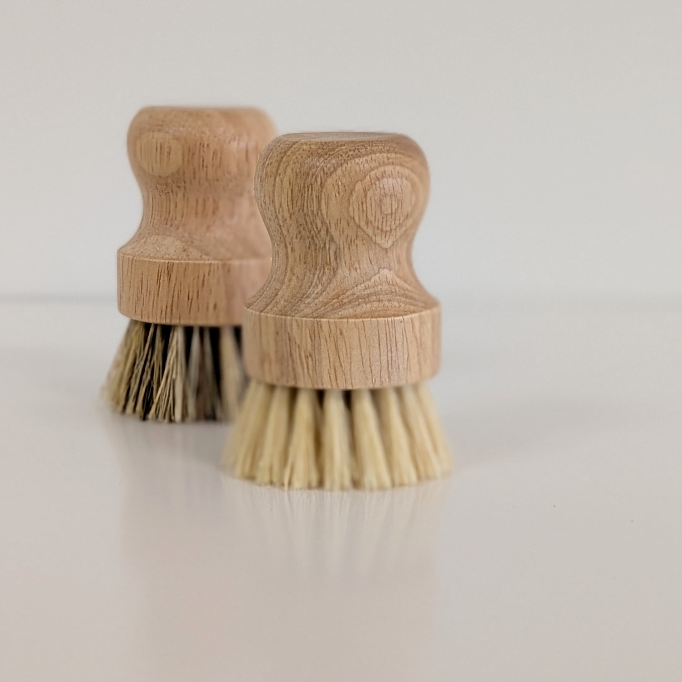 Dish Brush
