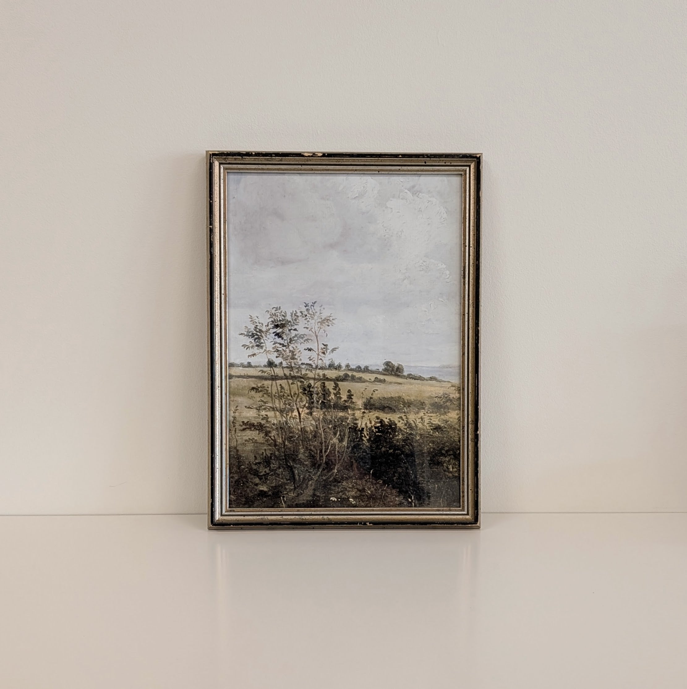 Framed Fields and Bushes