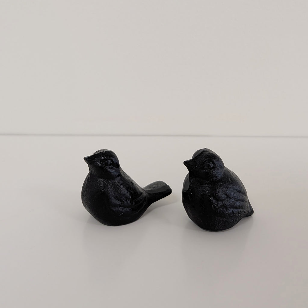Black Iron Bird