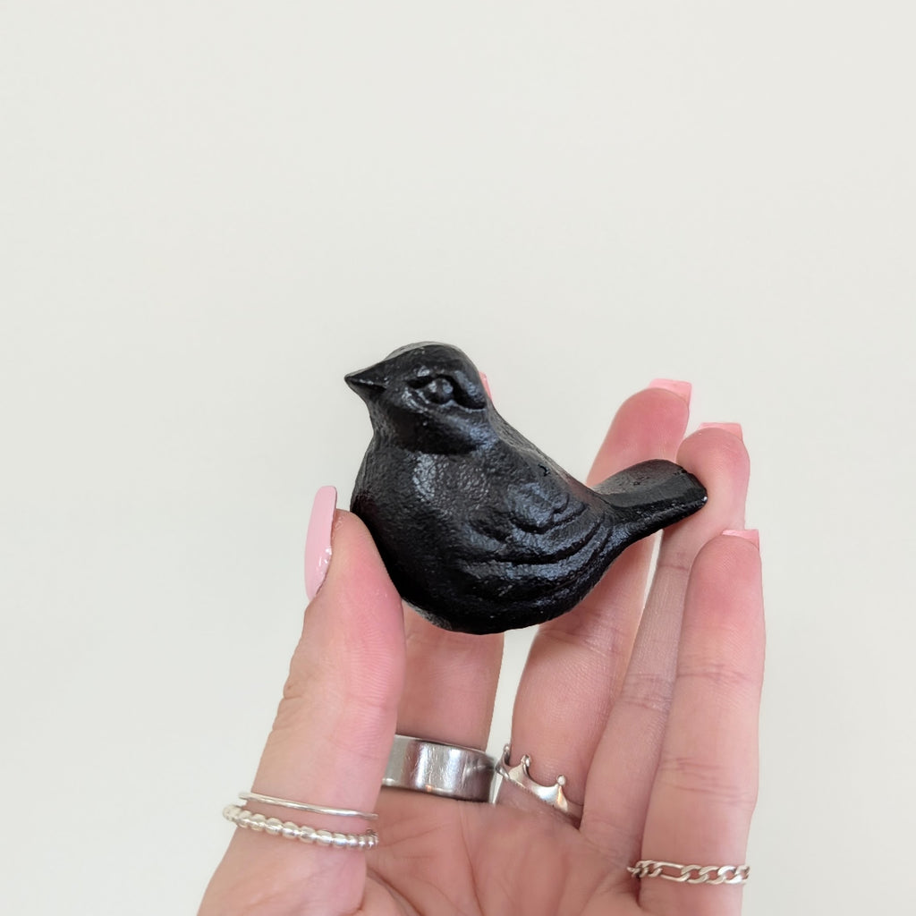 Black Iron Bird