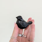 Black Iron Bird