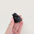 Black Iron Bird