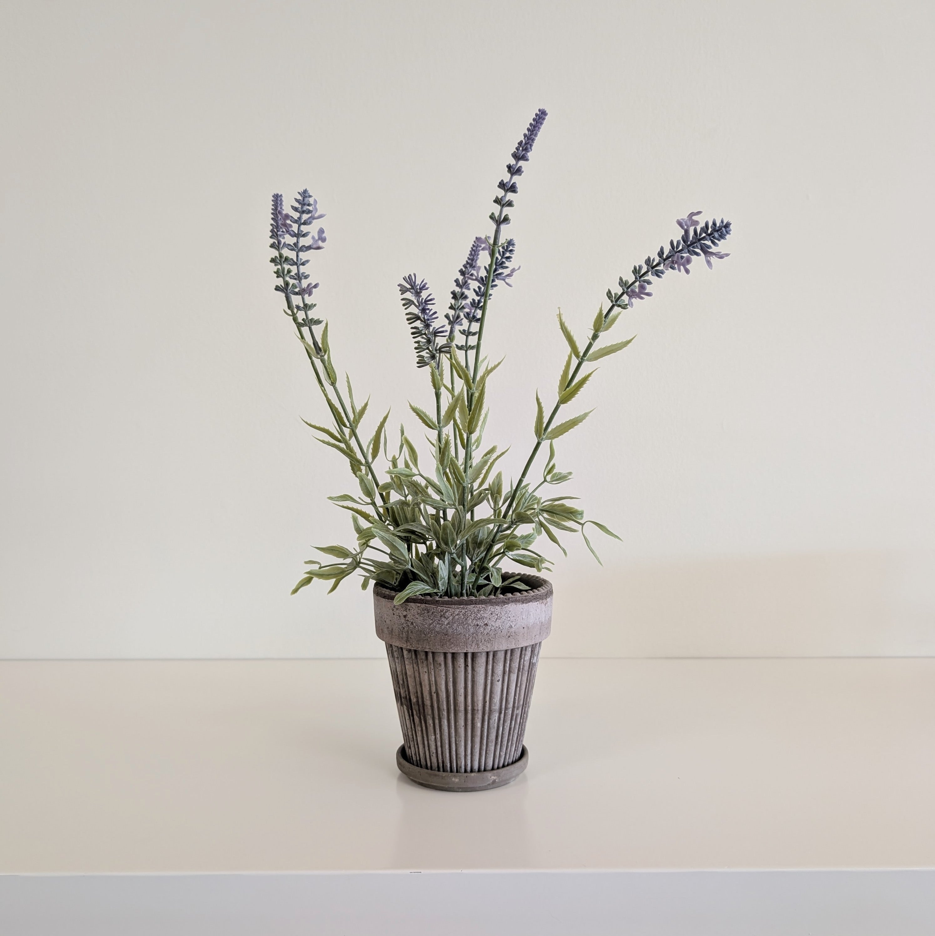 Distressed Planter