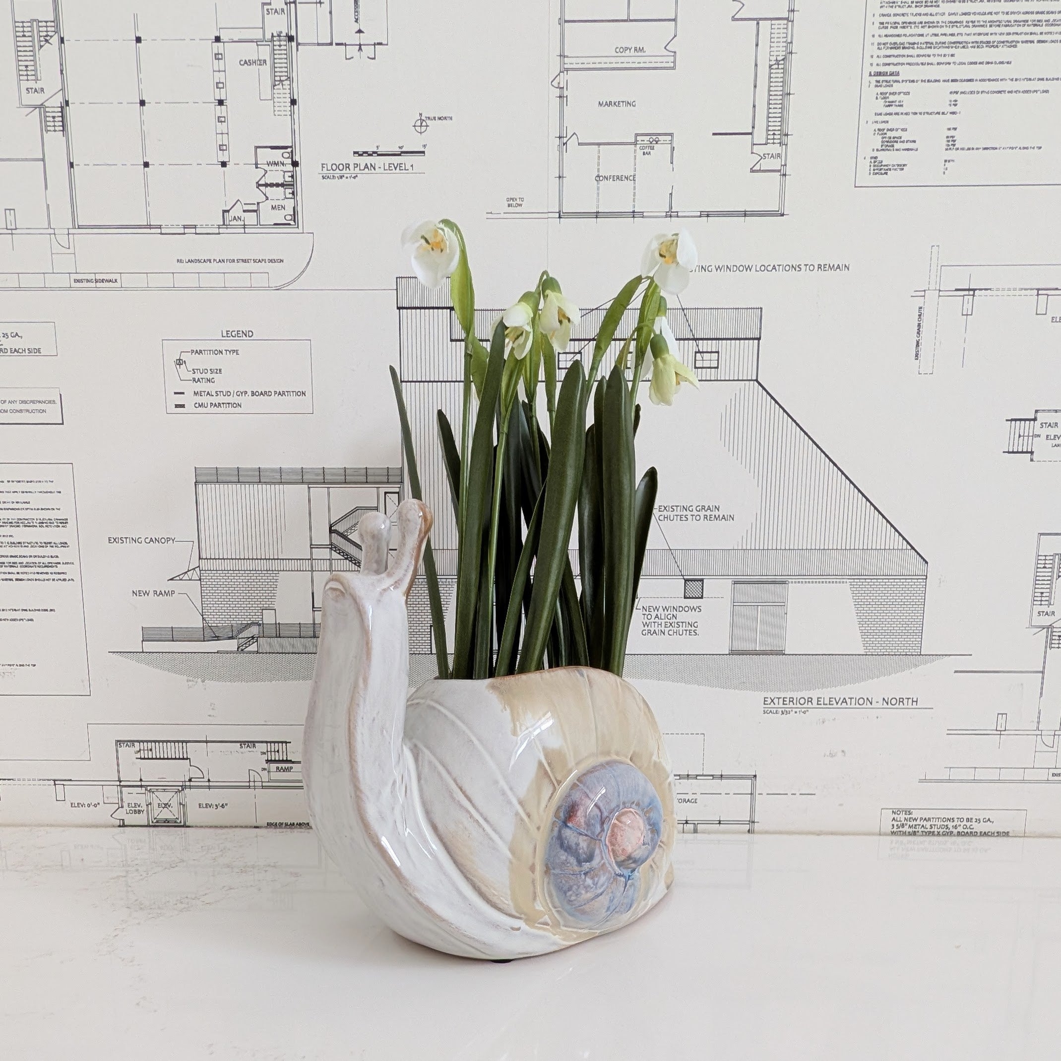 Snail Planter/Vase