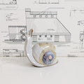 Snail Planter/Vase